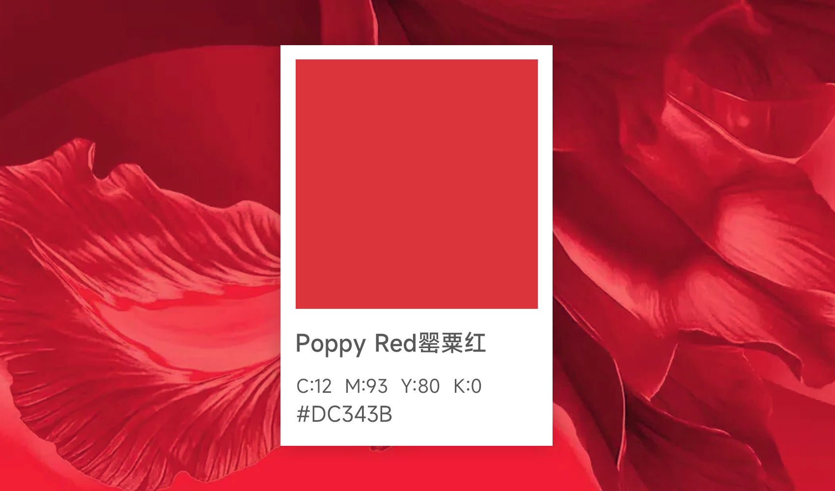 25/26秋冬家居色彩新宠：Poppy Red罂粟红热烈而清醒，浪漫而务实