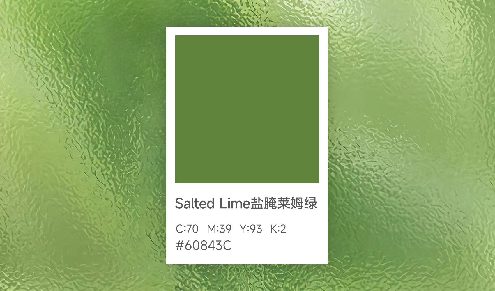 Salted Lime盐腌莱姆绿 | 解锁年度流行色，用自然之美重塑家居空间