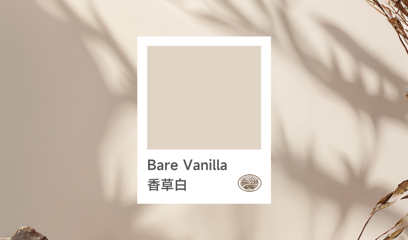 2025秋冬色彩趋势解析：为什么「Bare Vanilla香草白」将成为家居新宠？
