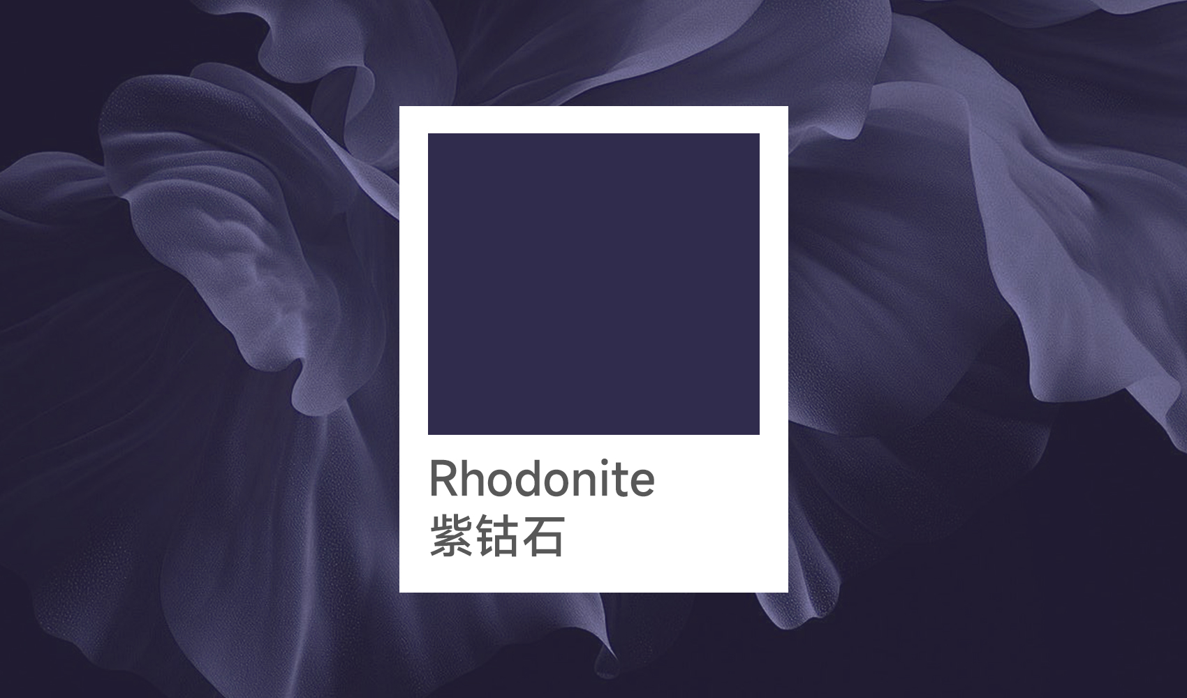 六款全年皆宜色深度解析（三）：Rhodonite紫钴石，将夜幕星辰凝于墙面
