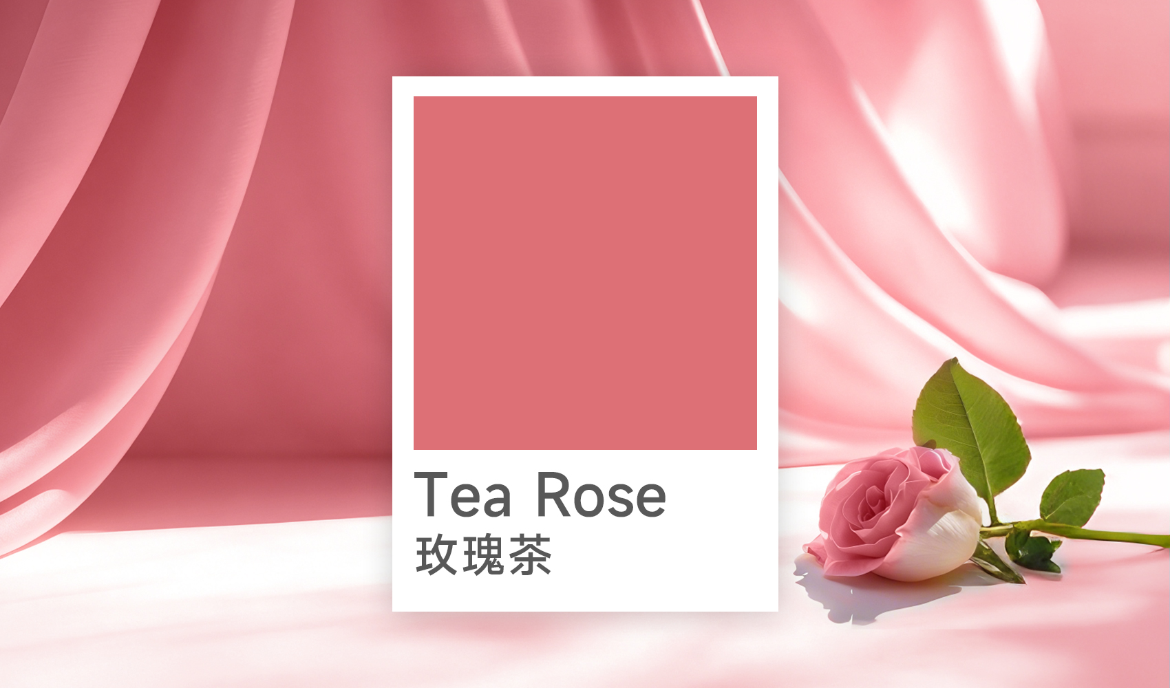 Tea Rose玫瑰茶：2026春夏最不可错过的温柔力量