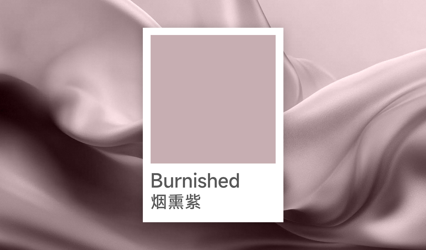 Burnished烟熏紫：2026春夏最不能错过的&ldquo;氛围感&rdquo;色彩