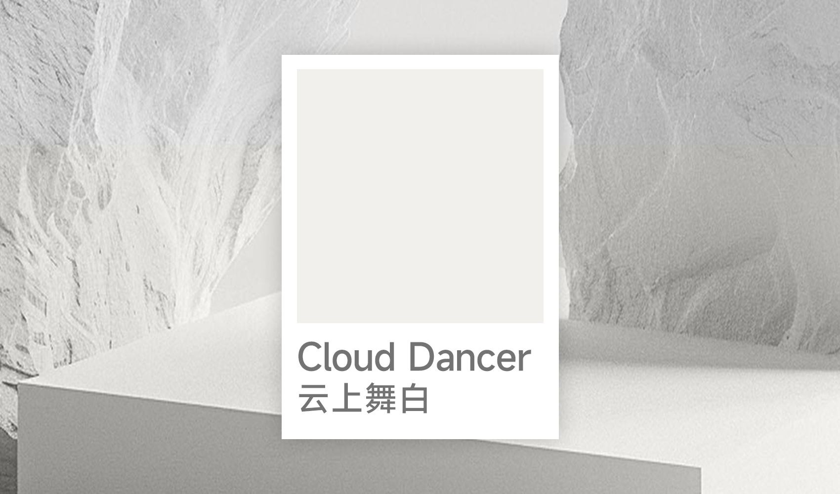 2026以白为舞：XUNI旭泥艺术涂料，演绎墙面上的Cloud Dancer云上舞白